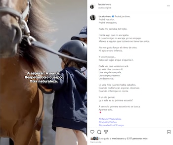 “Probé jardines. Probé horarios. Probé