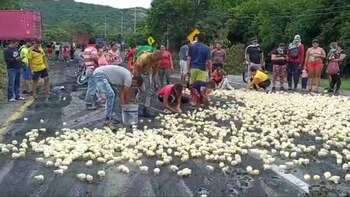Transportadores se vieron obligados a