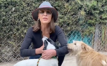 Imagen: captura de pantalla Instagram