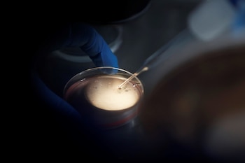 El mismo equipo que los