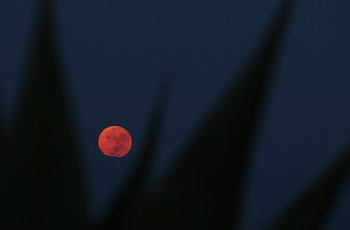 (Foto: Margarito Pérez Retana/Cuartoscuro)