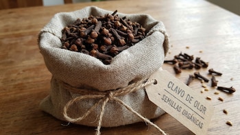 Cómo plantar un clavo de