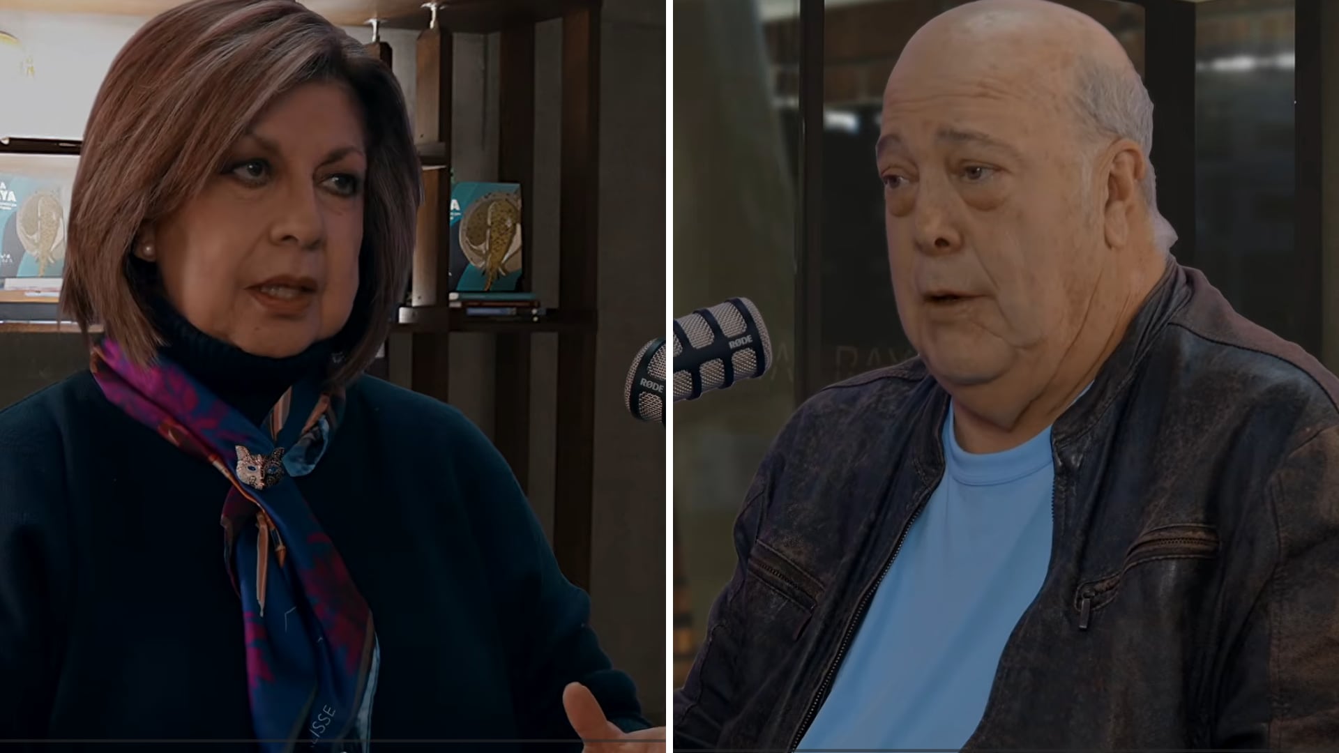 Daniel García-Peña, exembajador de Colombia, conversó con la periodista Cecilia Orozco sobre su paso diplomático en el gobierno Petro - crédito Revista Raya/YouTube