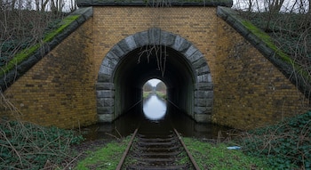 Vista frontal de un túnel de ferrocarril antiguo, construido con ladrillo amarillo y bloques de piedra, cuyas vías están inundadas y cubiertas por agua. El túnel está rodeado de vegetación y ramas, mostrando un paisaje natural y húmedo.