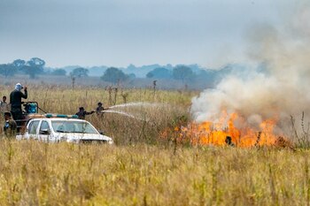 Los bomberos luchan contras el