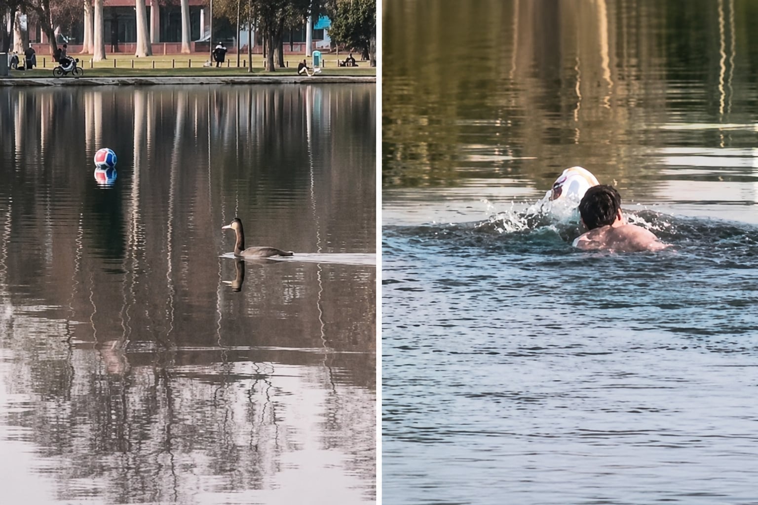 Un joven se lanzó al lago de los Bosques de Palermo para recuperar la pelota que un niño había dado por perdida (Instagram)