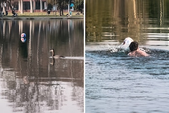 Un joven se lanzó al lago de los Bosques de Palermo para recuperar la pelota que un niño había dado por perdida (Instagram)