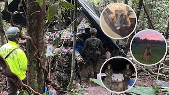 crédito Comando Contra el Narcotráfico y Amenazas Transnacionales (Conat) | Ejército Nacional