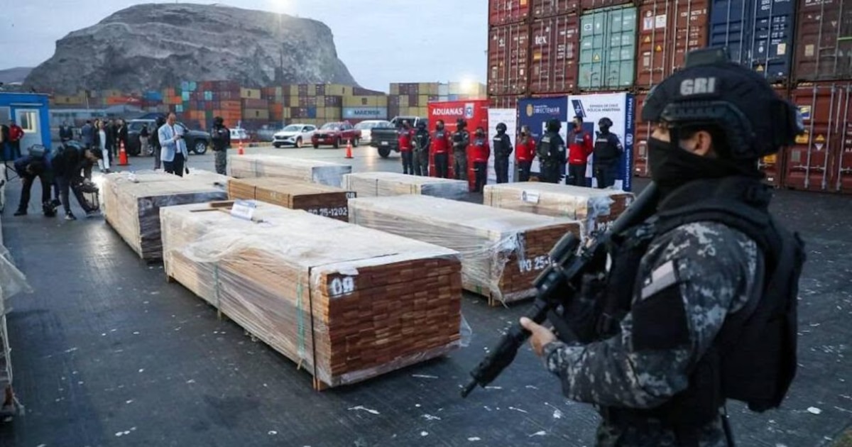 Bolivia announces joint research with Chile for over 100 tons of wood-impregnated drugs