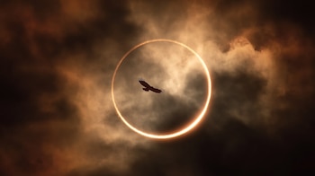Durante un eclipse solar, las