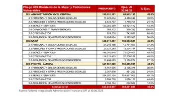 Presupuesto ejecutado por el Ministerio