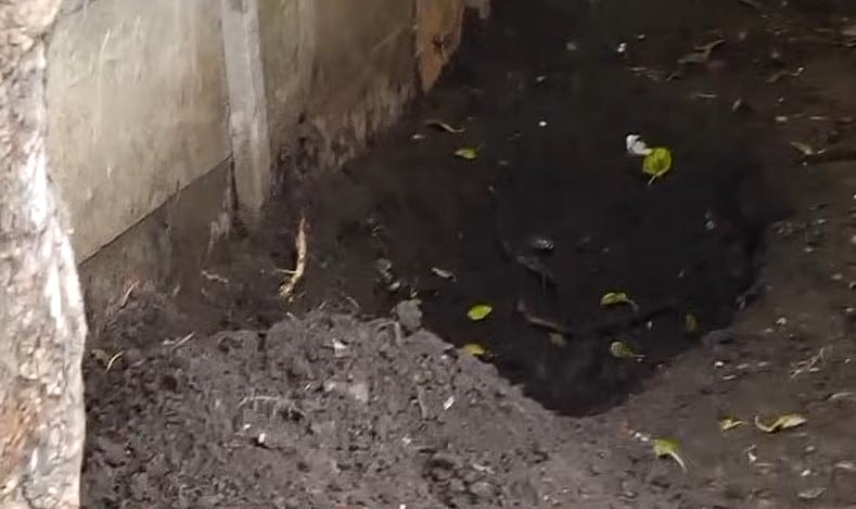 El patio trasero de la vivienda en Claypole, escenario del hallazgo realizado por el propio hijo de la víctima