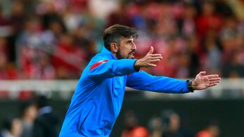 El serbio Veljko Paunovic, nuevo