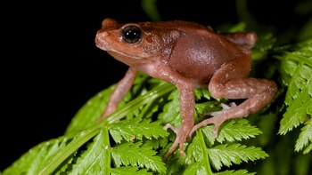 El hallazgo causa asombro en