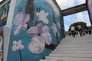 La administración del cementerio solo