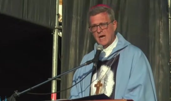 El arzobispo de Buenos Aires en su misa dominical por la Peregirnación de Luján. (Captura)