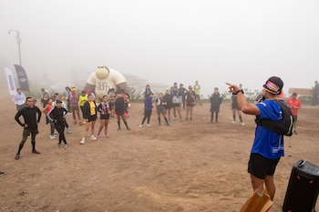 Ofrece una variedad de actividades