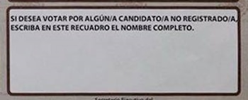 Quienes voten por los candidatos