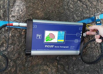 En los árboles se realiza