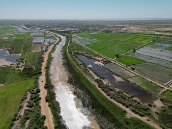 El gobierno senegalés predice un