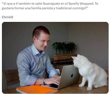 Memes de Guanajuato en Spotify