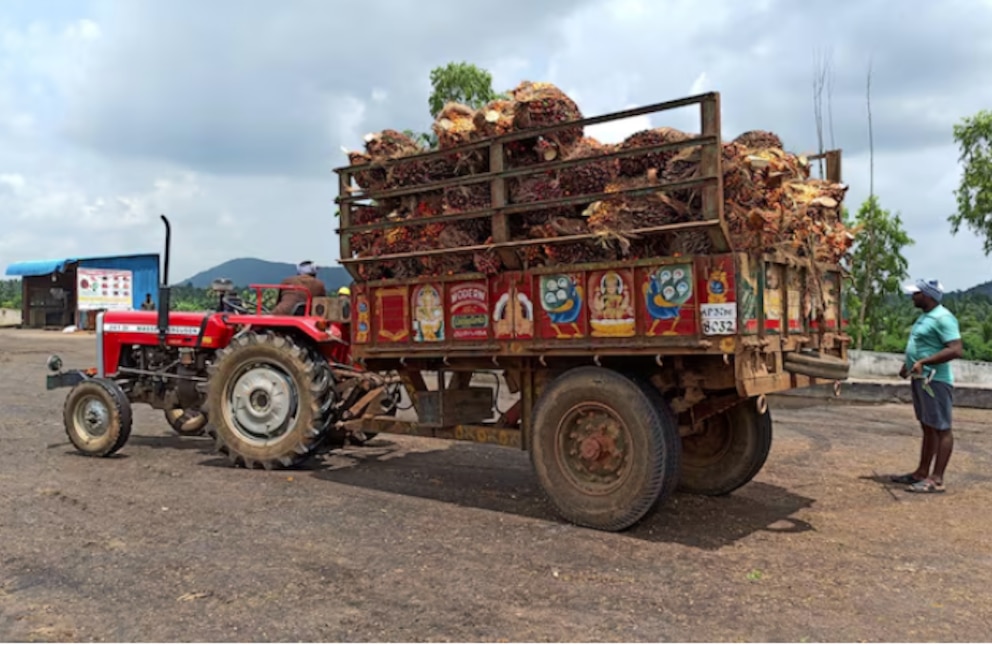 China sorprende al mercado: le vende aceite de soja con descuento a India, principal cliente argentino
