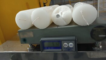 Perro policía descubrió diez mil