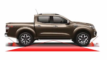 El ángulo ventral es el