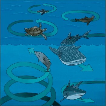 Esta imagen muestra el comportamiento en círculos de varios animales marinos. EFE/Narazaki et al./ iScience/Foto cedida