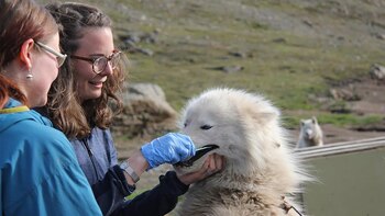 La científica Tatiana Feuerborn fue