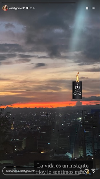 Estefanía Gómez se pronunció con una frase breve en la que destacó el impacto del suceso en el equipo de trabajo- crédito @estefigomez11/Instagram