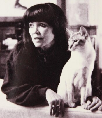 David Bowie - Clare Shenstone