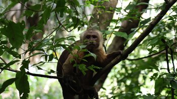 La CAR desmiente mitos y