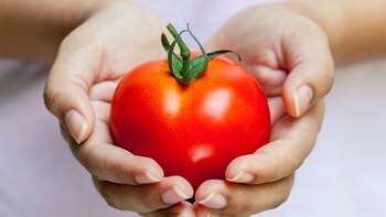 Sumar tomates en la dieta