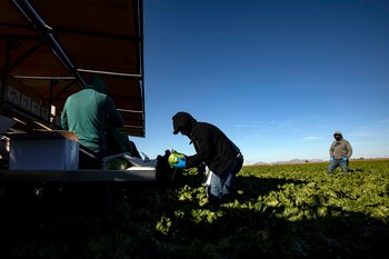 New York Times Arizona Coronavirus