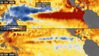 Los satélites de la NASA siguen el avance de El Niño: la señal clave en el océano que anticipa un impacto extremo en el clima