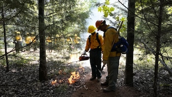 Las quemas controladas generan ahorro económico frente a incendios en Estados Unidos