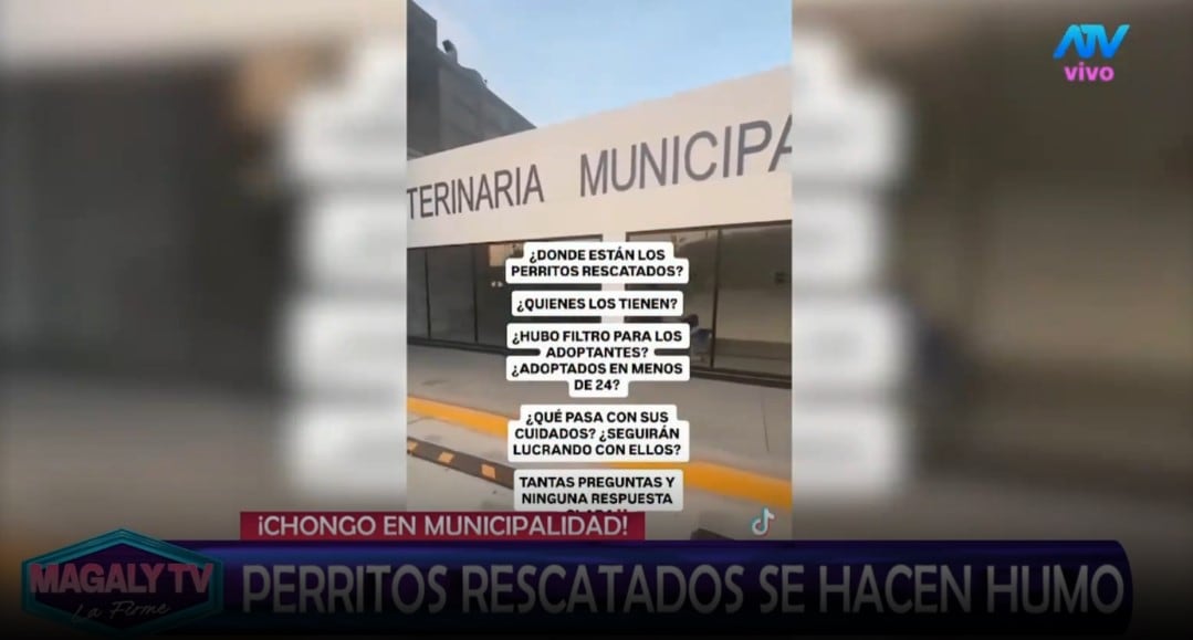 Magaly Medina cuestiona destino de perros rescatados en SJM: “¿Cómo estar seguros que no han caído nuevamente en manos inescrupulosas? Captura: Magaly TV La Firme.
