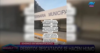 Magaly Medina cuestiona destino de perros rescatados en SJM: “¿Cómo estar seguros que no han caído nuevamente en manos inescrupulosas? Captura: Magaly TV La Firme.