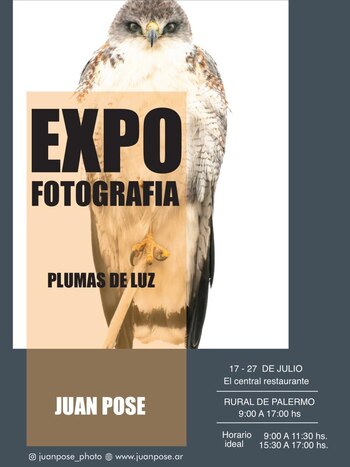 Los datos de la exposición