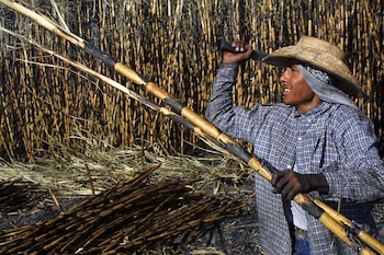 Hugo Aguilar Ortiz sostuvo que conflictos agrarios pueden persistir aun después de una sentencia y prolongarse por décadas. EFE/Imelda Medina