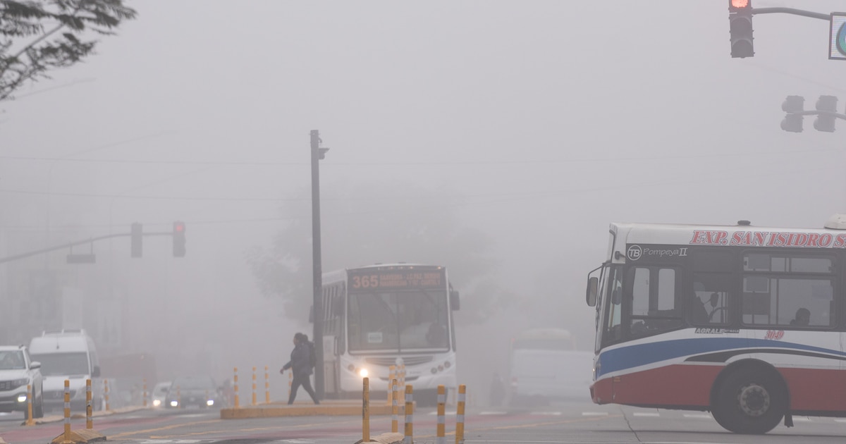 Alerta violeta por niebla intensa: visibilidad reducida y riesgos en rutas y aeropuertos
