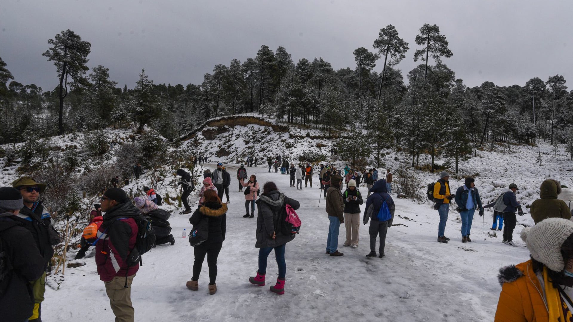 La Profepa iniciará procedimientos administrativos y evaluará la restauración de los ecosistemas afectados(Cuartoscuro)