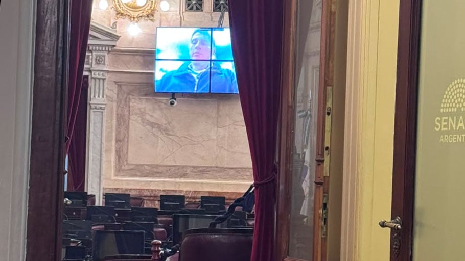 Villarruel también avaló la votación virtual del radical Fama y mandó a probar pantallas, pero el recinto deberá ratificarlo mañana