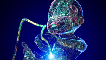 Un estudio reveló que la