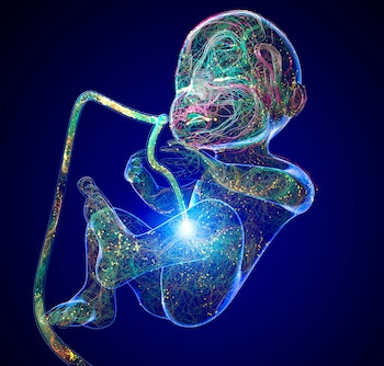 Para que se produzca daño en