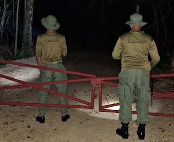 Los guardaparques mantienen recorridos de vigilancia para prevenir acciones que afecten a las especies y los ecosistemas bajo protección. (MiAmbiente)