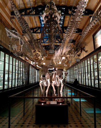 Museo de Ciencias Naturales,