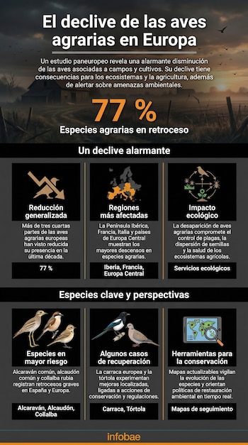 Infografia intitulada «O declínio das aves reprodutoras na Europa», que apresenta estatísticas, mapas da Europa e gráficos relacionados.