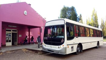 Internaron a 19 estudiantes por